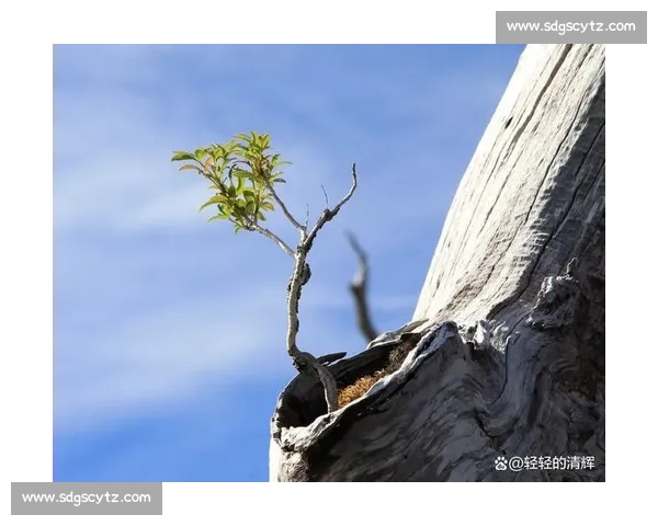 打破纪录背后，是无数次的跌倒与爬起，这就是传承的力量