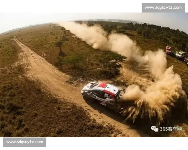 WRC最新赛道图揭秘，隐藏的弯道等你来征服！