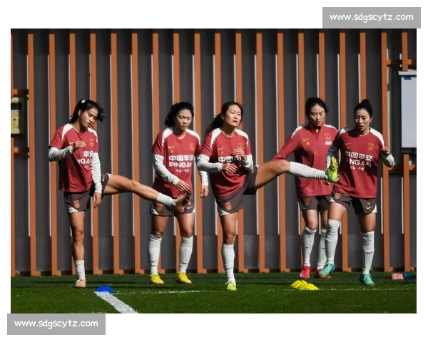 中国足球的2026“归化潮”能否掀翻世界