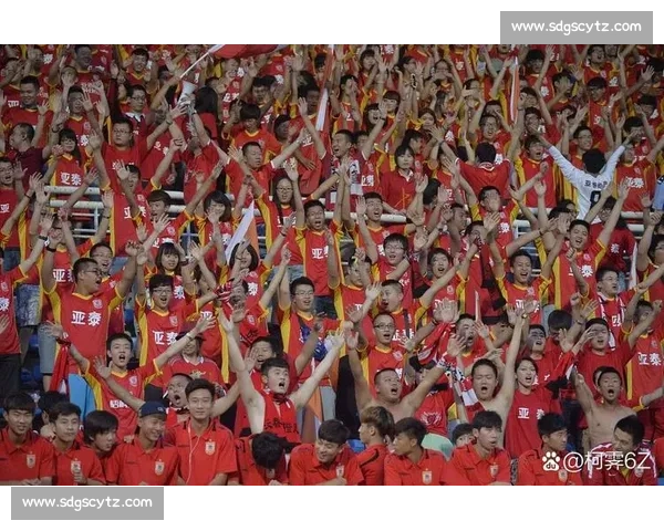 从社区球场到世界杯舞台，他们的汗水与坚持