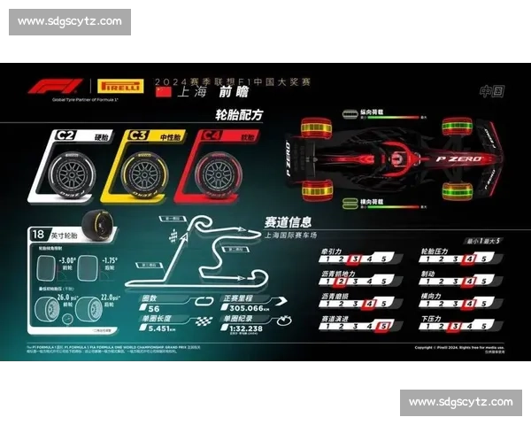 为轮胎“续命”F1车队那些不可思议的维修区技巧！