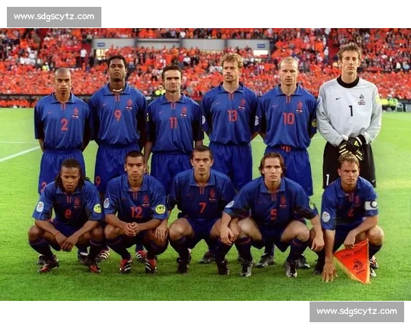 荷兰队阵容分析：这是一支怎样的“郁金香”